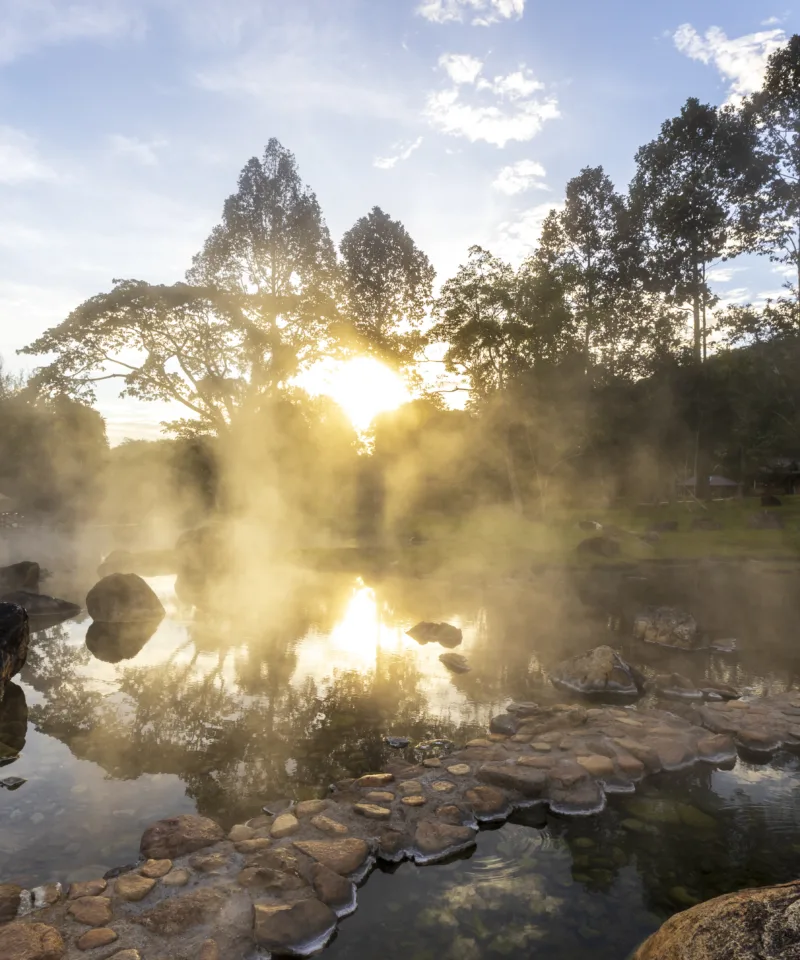 Sorgenti termali fumanti con vapore che si innalza dall'acqua, riflettendo la luce dorata del sole che filtra attraverso gli alberi al tramonto o all'alba