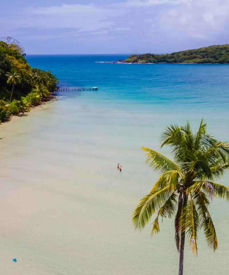 Vista aerea di una spiaggia tropicale con sabbia chiara e acque calme e cristalline, palme verdi lussureggianti che si estendono verso l'oceano azzurro e un'isola in lontananza